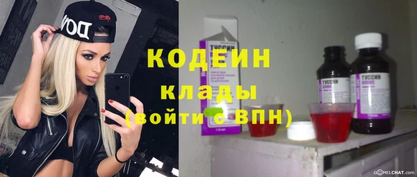 прущие грибы Арсеньев