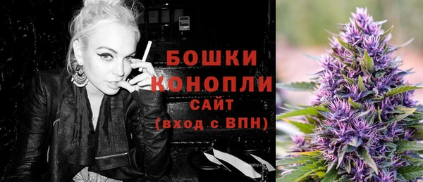 прущие грибы Арсеньев