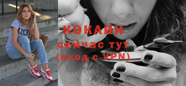 крисы Аркадак