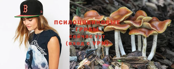 крисы Аркадак