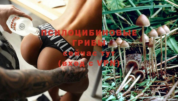 марки lsd Армянск