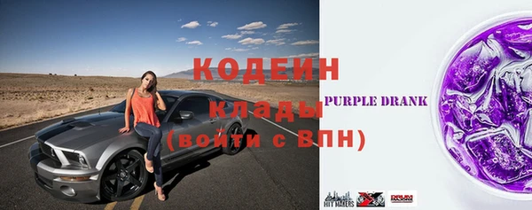 прущие грибы Арсеньев