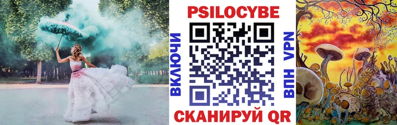 цена   Пугачёв  мега рабочий сайт  Псилоцибиновые грибы GOLDEN TEACHER 
